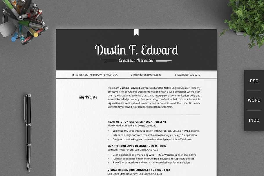 All in One Elegant Resume CV Pack in Resume Templates - product preview 8