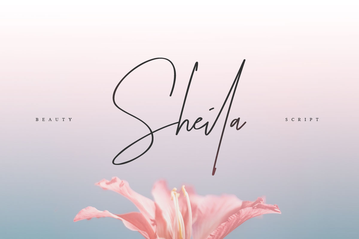 Sheila Font in Script Fonts - product preview 8