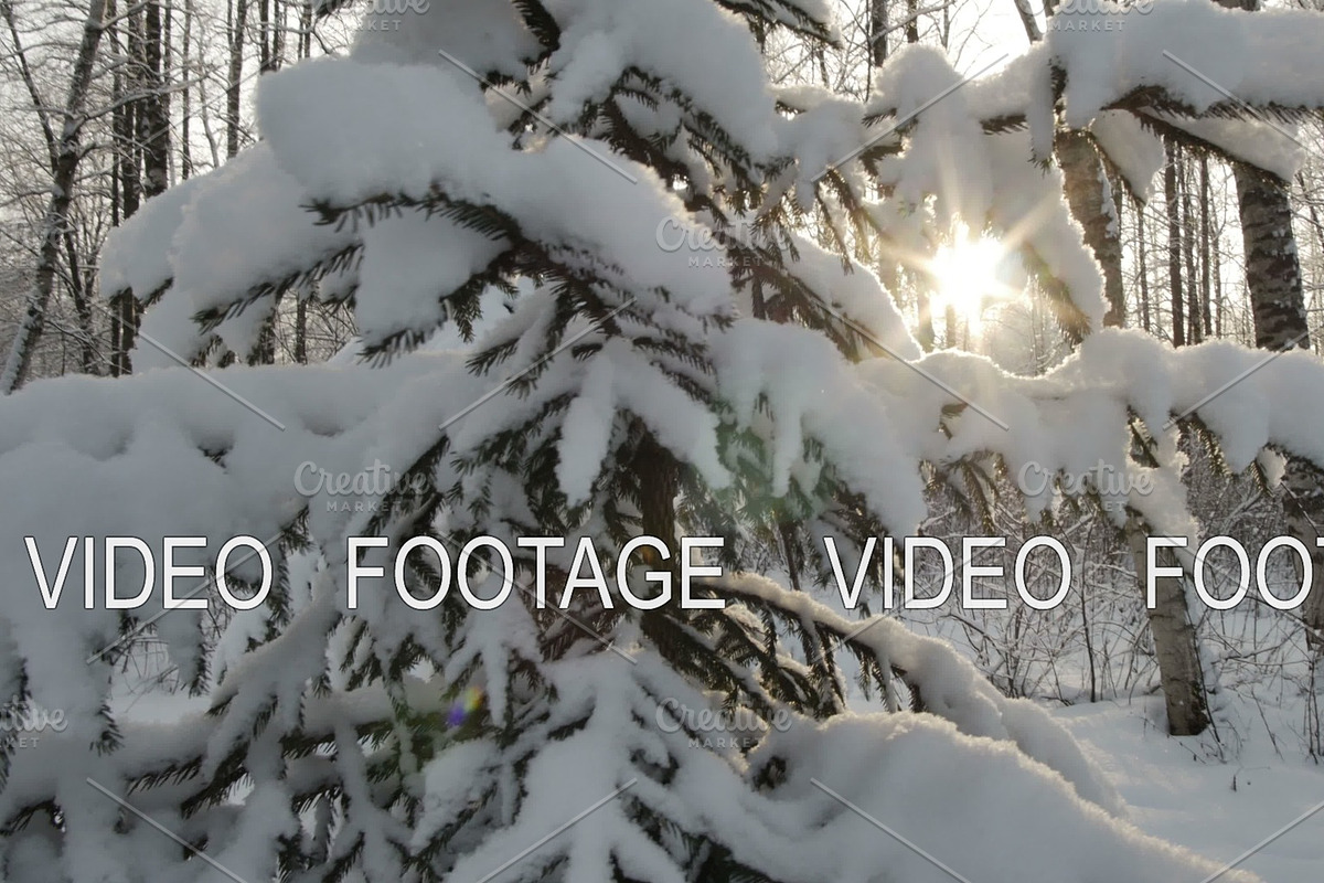 Sun shine through snow covered branches of pine. Lens flare. Smooth movement. Winter background in Graphics - product preview 8