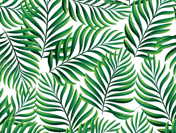 Tropical patterns. Palm leaves in Patterns - product preview 1