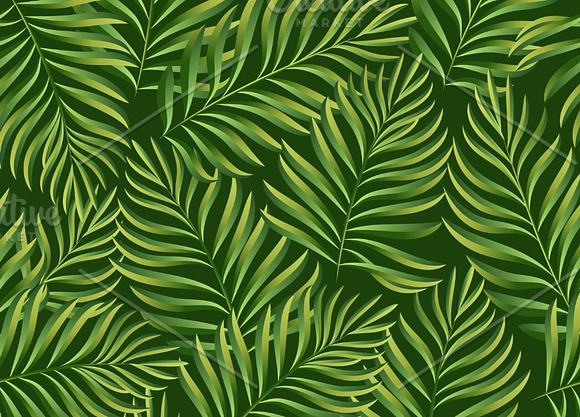 Tropical patterns. Palm leaves in Patterns - product preview 4