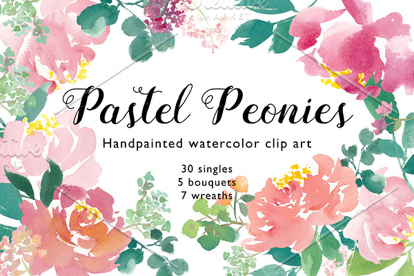 Hand Painted watercolor peony flower