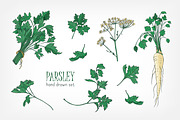Parsley set and seamless pattern