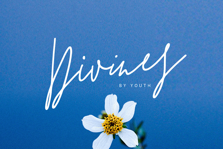 Divines in Script Fonts - product preview 8