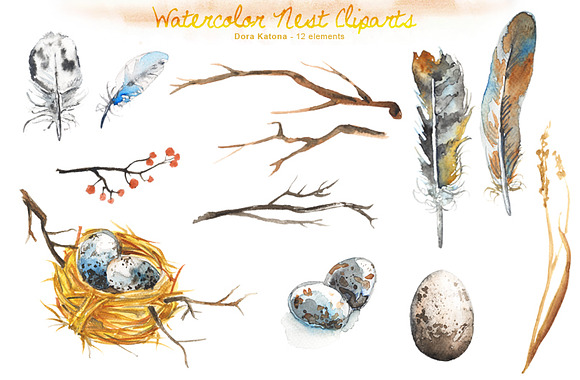 Watercolor Bird Nest Clipart in Illustrations - product preview 1
