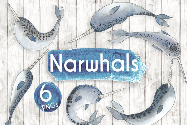 Watercolour Narwhals