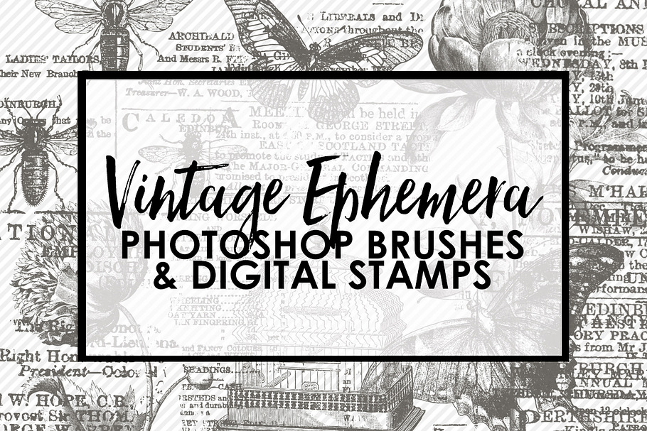 Vintage Ephemera PS Brushes & Stamps