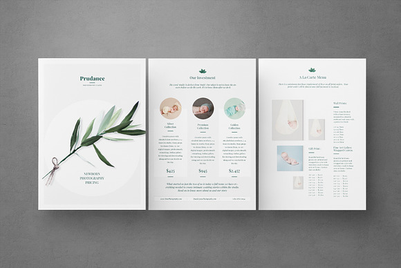 Newborn Pricing Flyer  in Flyer Templates - product preview 1