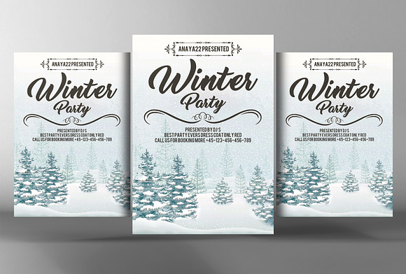10 Party Flyers Bundle in Flyer Templates - product preview 4