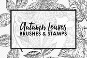 Autumn Leaves PS Brushes & Stamps
