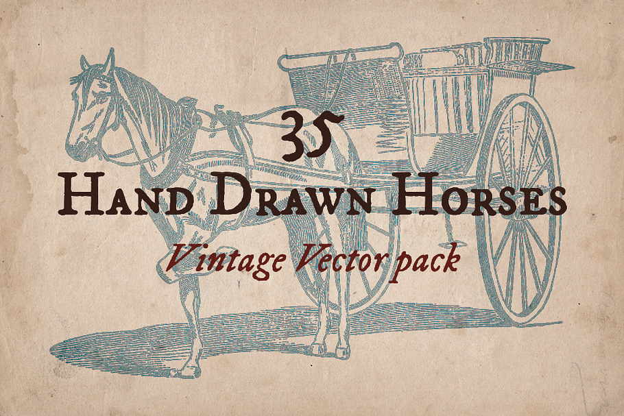 35 Hand Drawn Horses in Graphics - product preview 8
