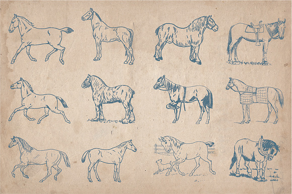 35 Hand Drawn Horses in Graphics - product preview 2