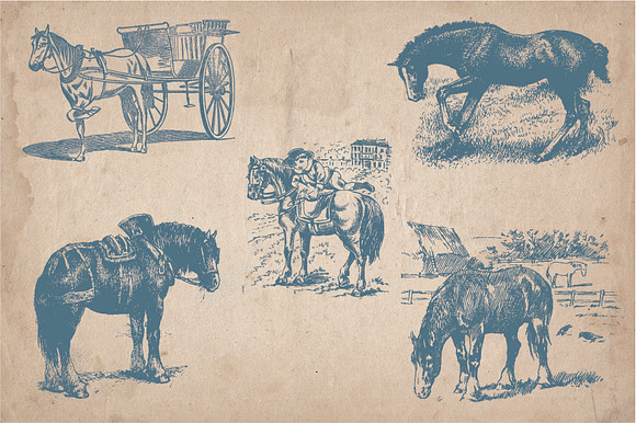 35 Hand Drawn Horses in Graphics - product preview 4