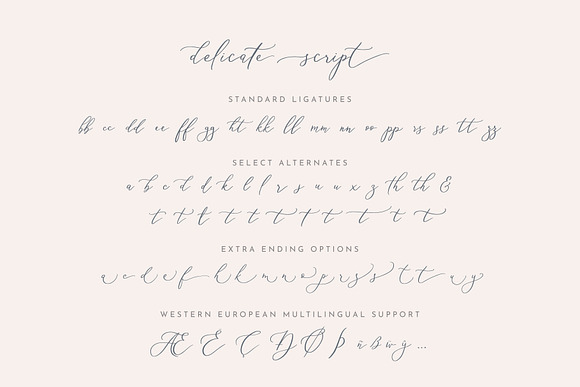 Delicate Elegant Script & Ornaments in Elegant Fonts - product preview 9