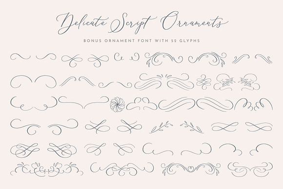 Delicate Elegant Script & Ornaments in Elegant Fonts - product preview 10