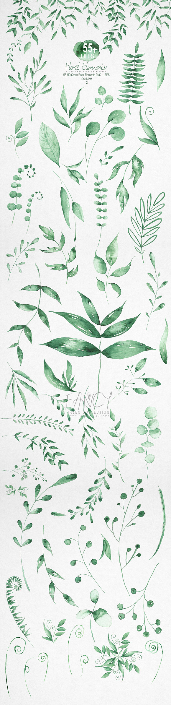 FANCY Green Collection %50 OFF in Illustrations - product preview 1