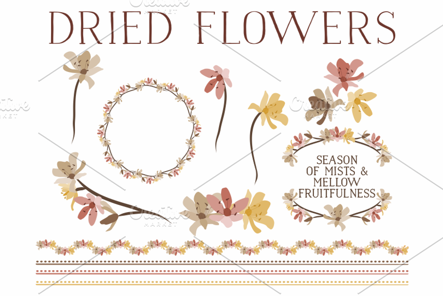 Dried Flowers & Laurels in Illustrations - product preview 8
