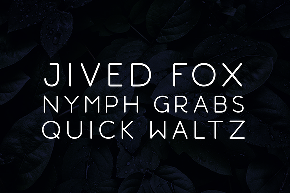 Geometrica | Font Bundle in Display Fonts - product preview 10