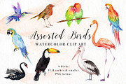 Assorted Birds Watercolor Clip Art