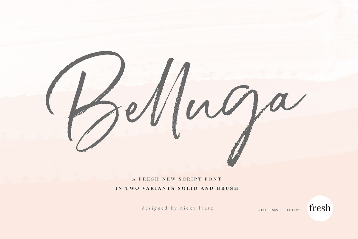 Belluga Brush Rough & Smooth in Brush Fonts - product preview 8