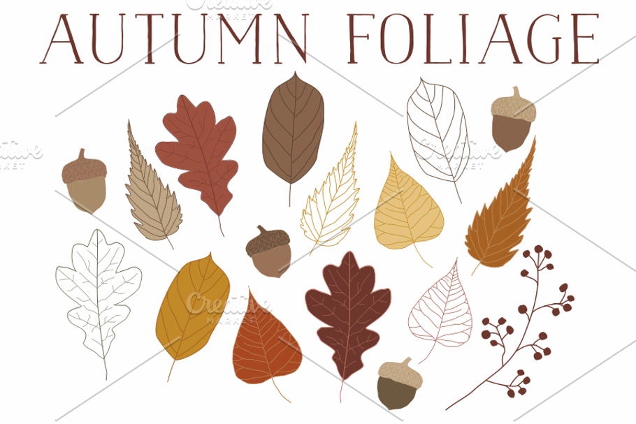 Vector Autumn Leaves & Acorns
