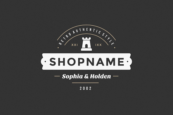 15 Retro Vintage Logotypes or Badges in Logo Templates - product preview 2