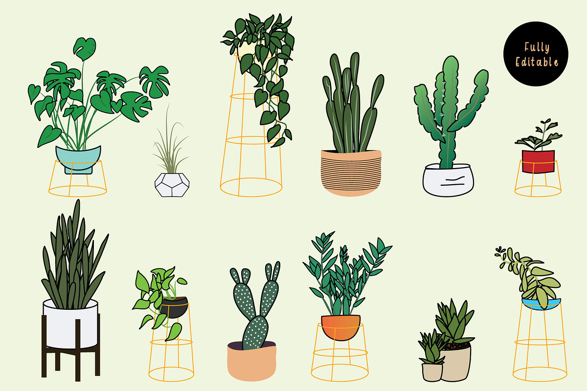 Houseplants Bundle! in Illustrations - product preview 8