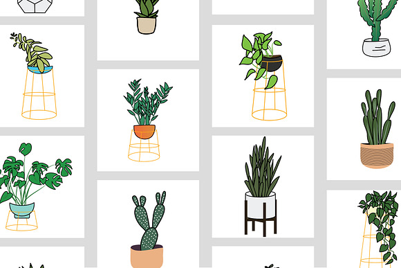 Houseplants Bundle! in Illustrations - product preview 2