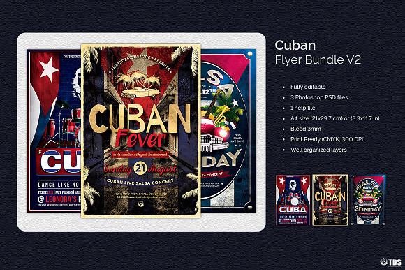 Cuban Flyer Bundle V2 in Flyer Templates - product preview 1