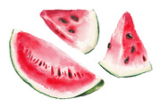Watercolor watermelon illustration