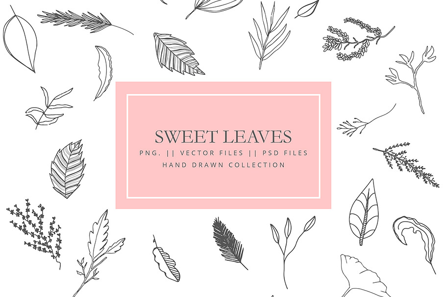 Clipart leaves and branches in Illustrations - product preview 8
