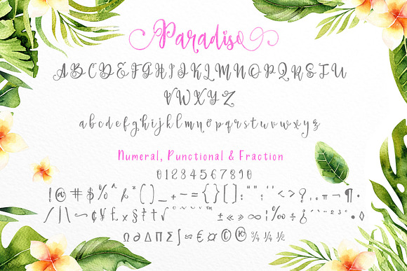 Paradiso - Fonts Duo in Script Fonts - product preview 5