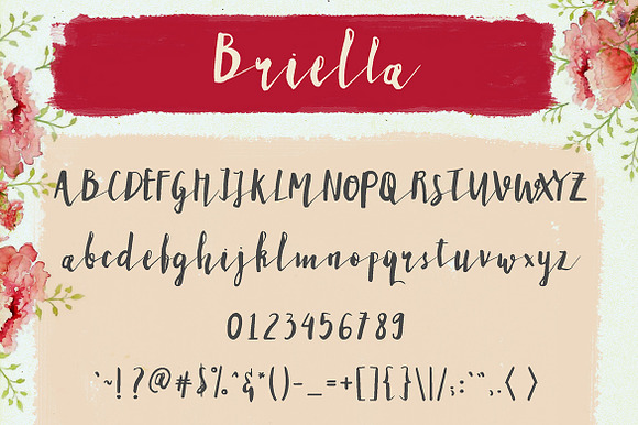 Briella Script in Script Fonts - product preview 4