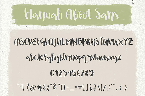 Hannah Abbot Script in Script Fonts - product preview 8