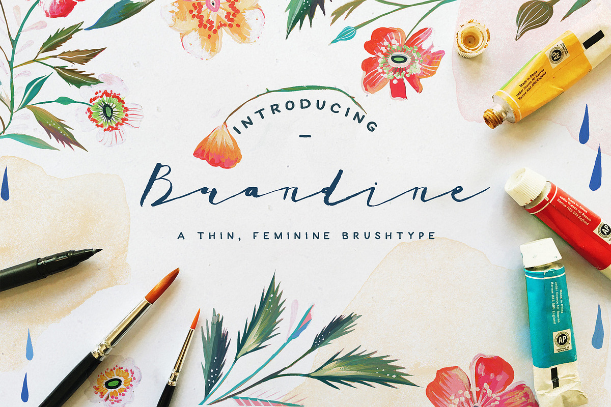 Brandine Script in Script Fonts - product preview 8