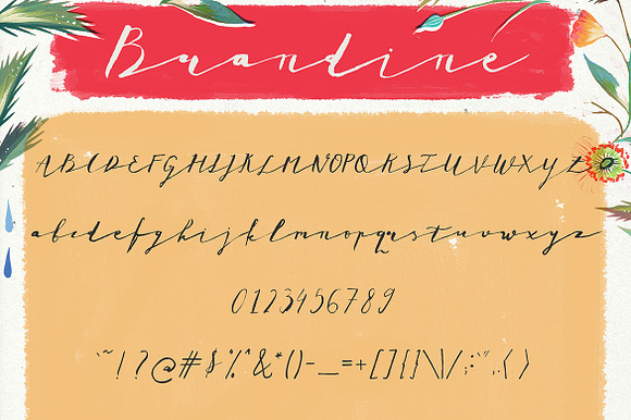 Brandine Script in Script Fonts - product preview 4