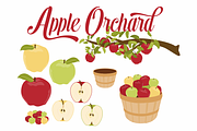 Apple Branch & Basket Vector