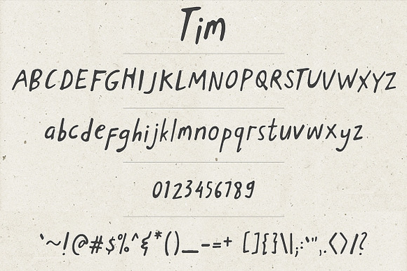 Tim Serif in Display Fonts - product preview 5