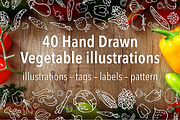 40 Hand Drawn Vegetable Illustration