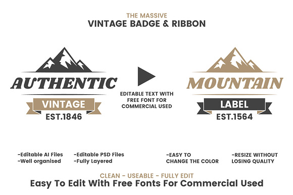 36 VINTAGE BADGE & RIBBON Vol.3 in Logo Templates - product preview 1