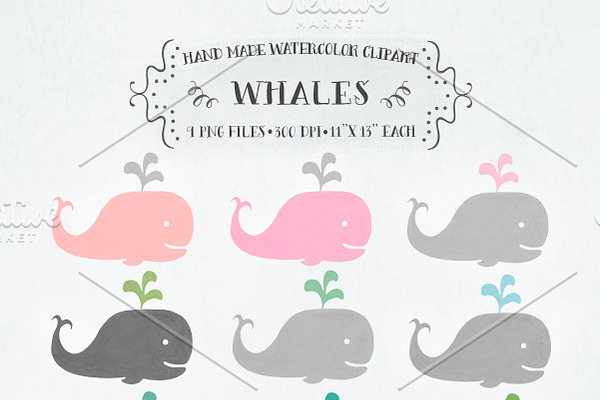 Baby whales watercolor clipart