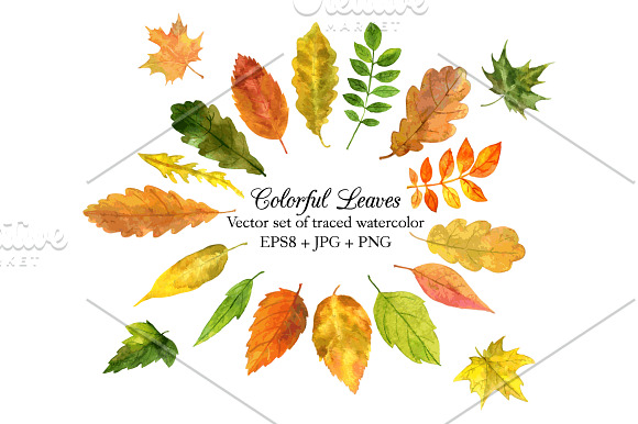 Set of Colorful Watercolor Leaves in Illustrations - product preview 2