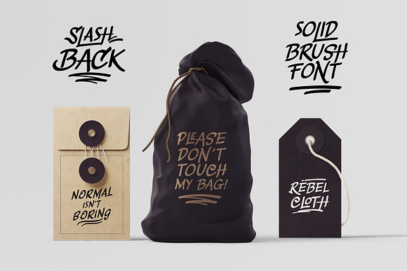 Slashback Typeface in Display Fonts - product preview 8
