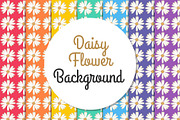 Daisy Flower Background
