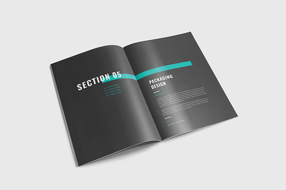 Graphic Design Portfolio in Brochure Templates - product preview 16