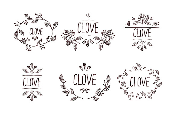 Spices & Herbs: Clove in Textures - product preview 2