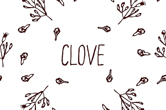 Spices & Herbs: Clove in Textures - product preview 4