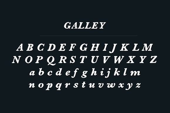 Galley Font + Logo Badges in Serif Fonts - product preview 1