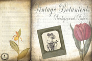 Vintage Botanical Background Papers