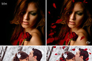 30 Falling Rose Petals Photo Overlay